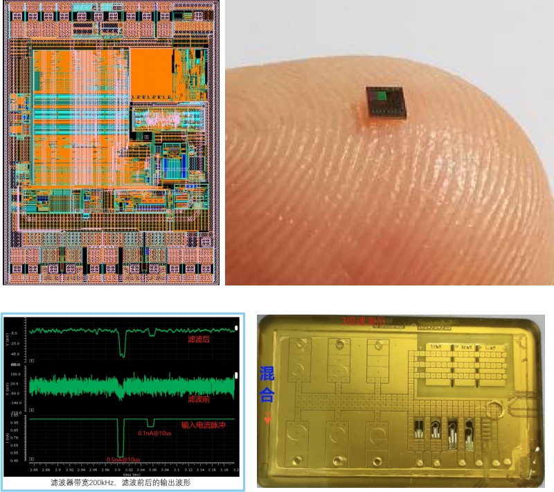 Refresh AI BiosensorBioSensingchips:版图、指尖chips、信号波形与chips实物